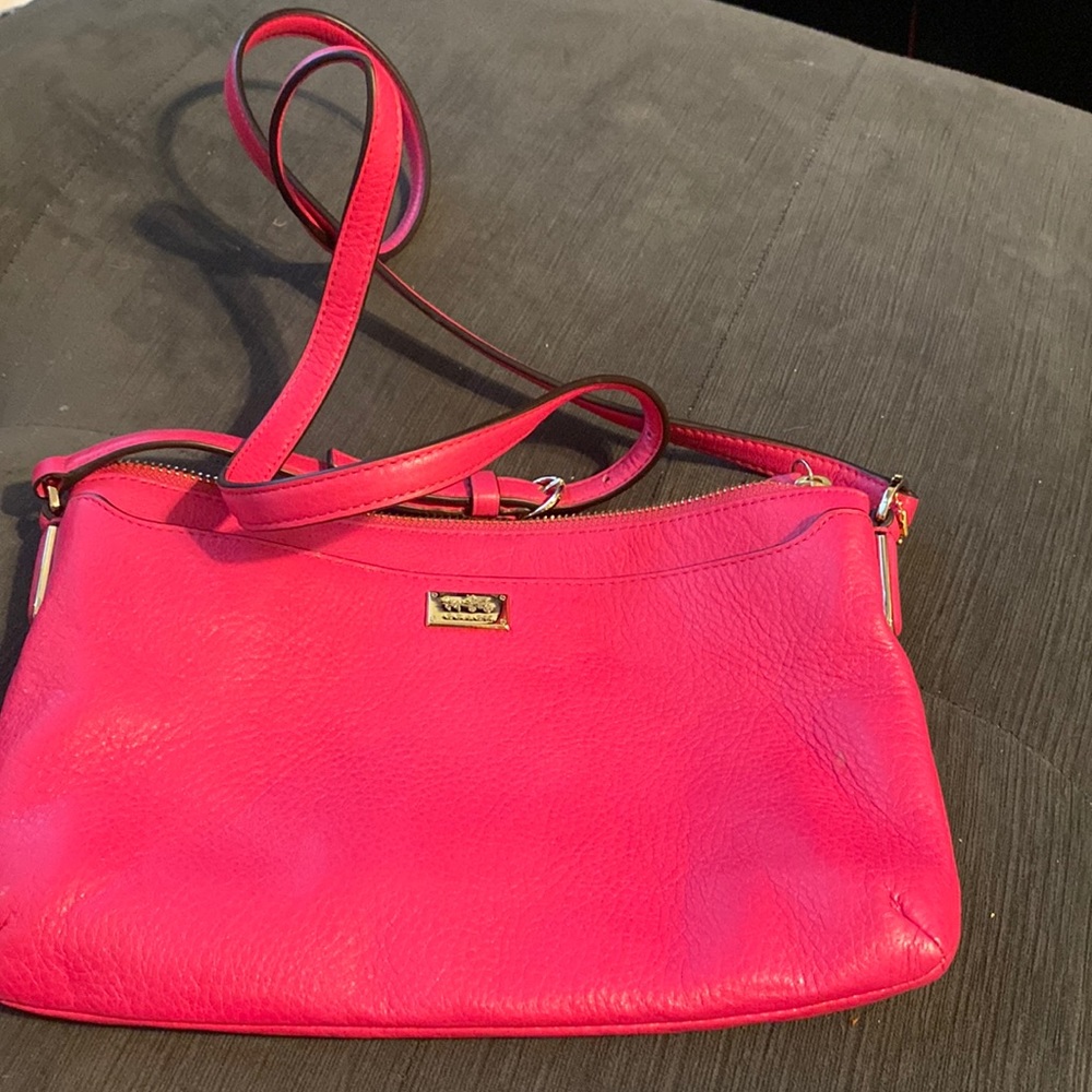 Cute Coach on the go bag